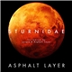 Asphalt Layer - Sturnidae