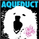 Aqueduct - Wild Knights